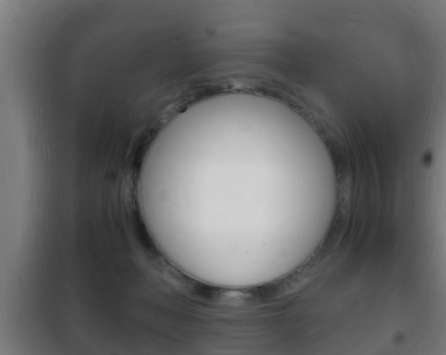 X0000102220222200807250753