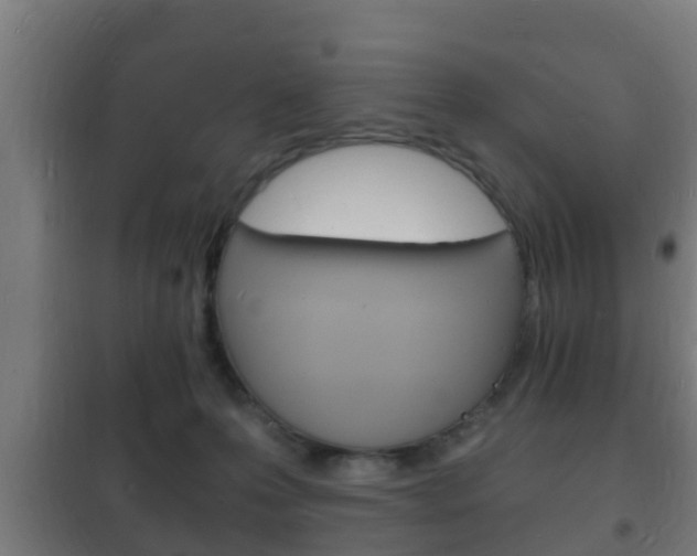 X0000102220223200807250753