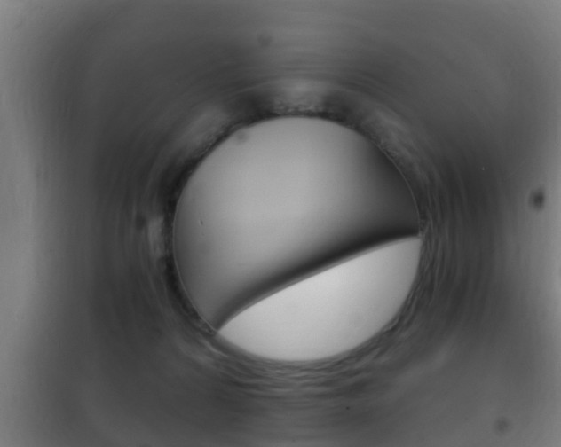 X0000102220224200807250753