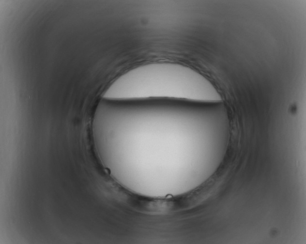 X0000102220225200807250753
