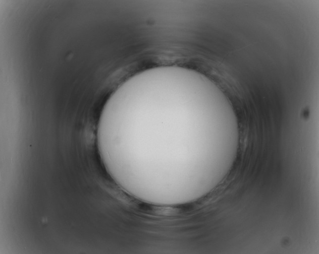 X0000102220226200807250753