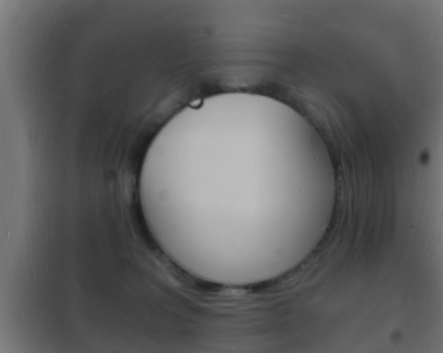 X0000102220227200807250753