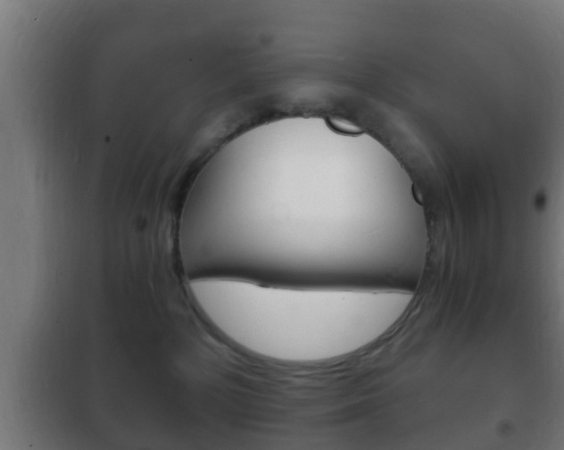 X0000102220232200807250753
