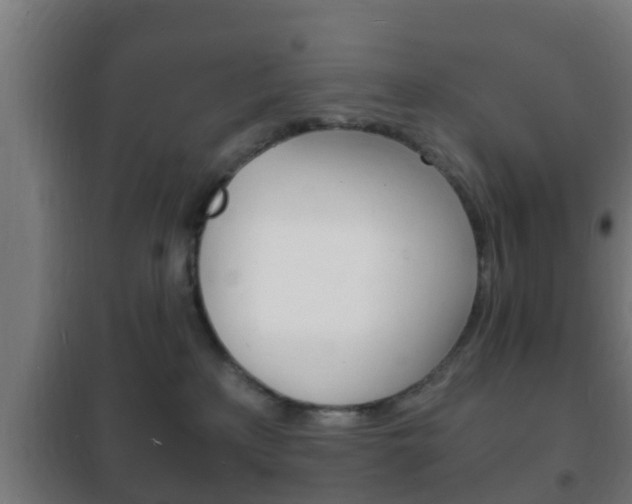 X0000102220233200807250753