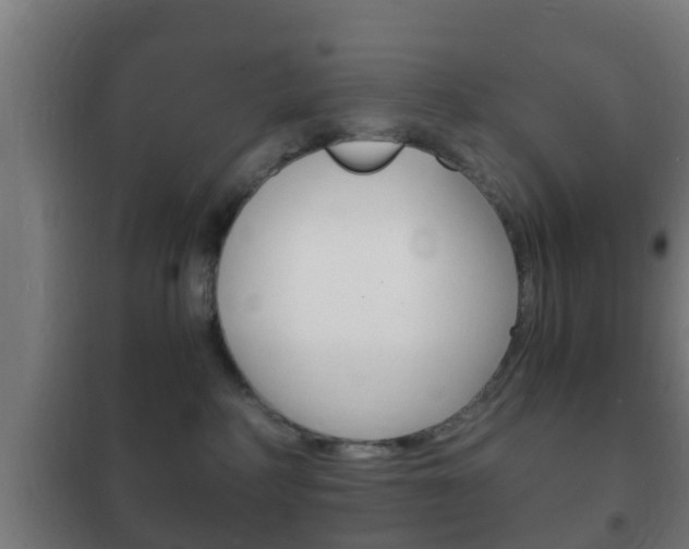 X0000102220234200807250753