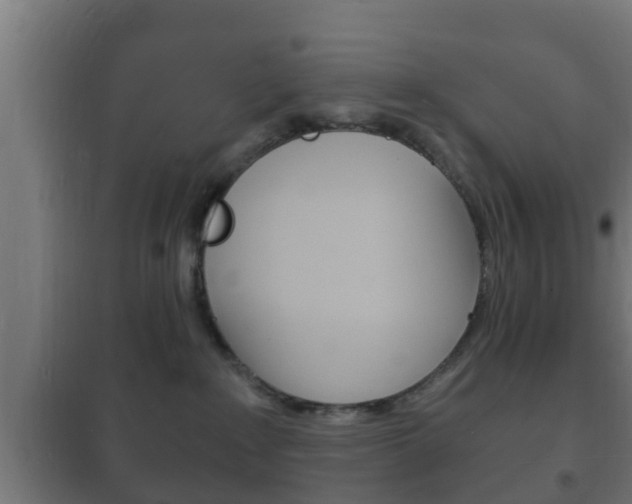 X0000102220235200807250753