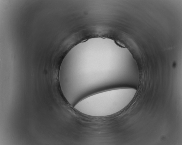 X0000102220236200807250753