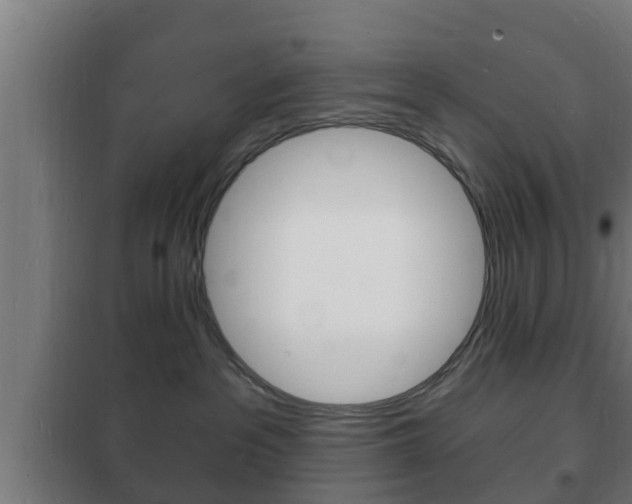 X0000102220237200807250753