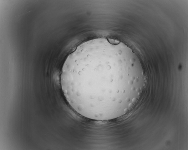 X0000102220238200807250753