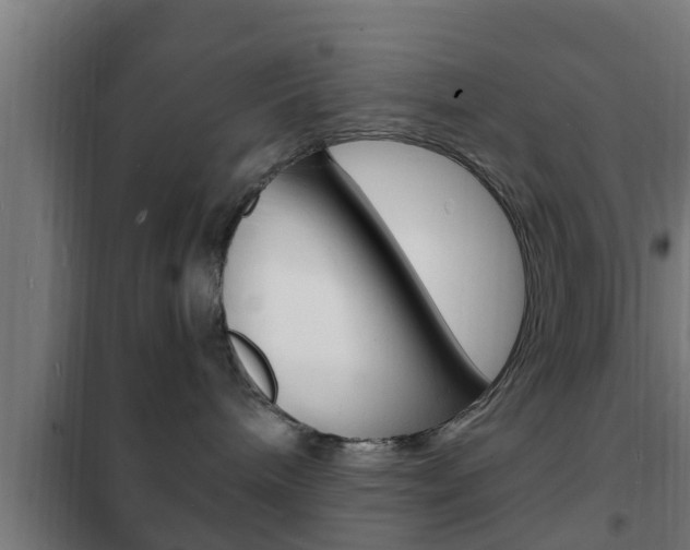 X0000102220240200807250753