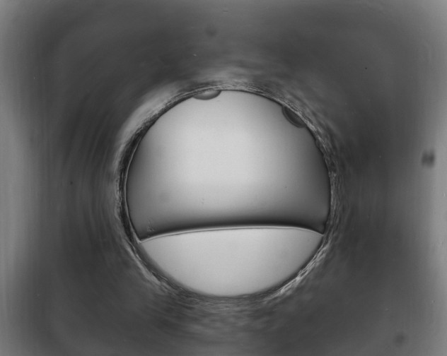 X0000102220245200807250752