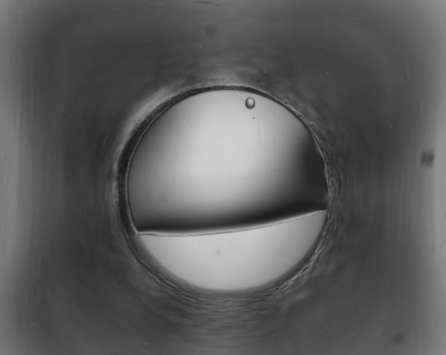 X0000102220248200807250752