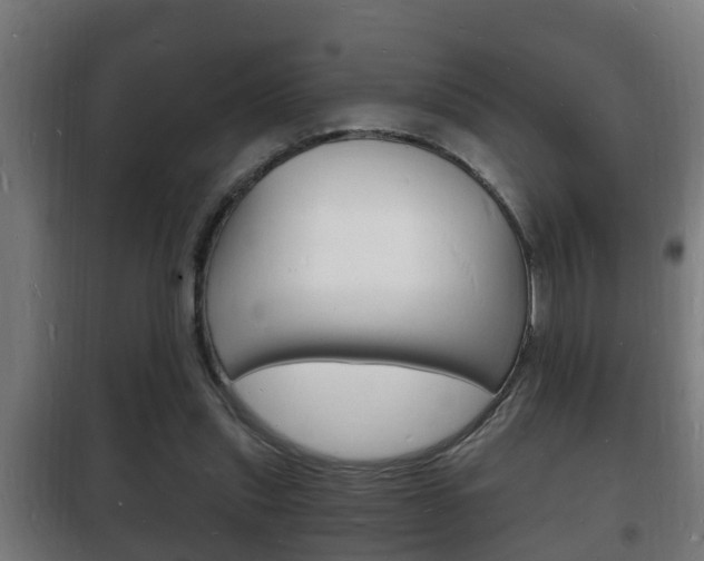 X0000102220253200807250752