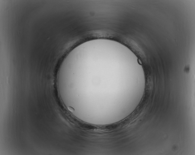 X0000102220255200807250752