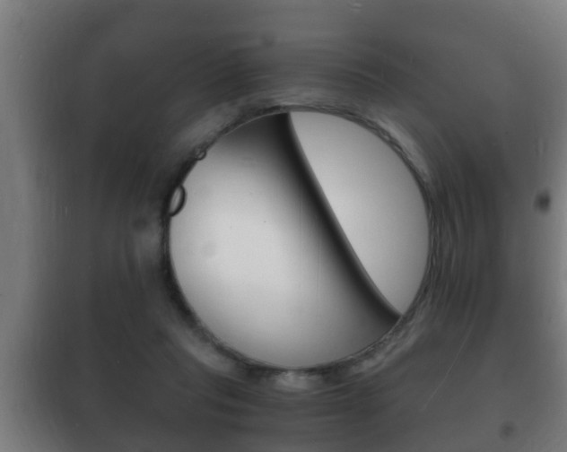 X0000102220261200807250752