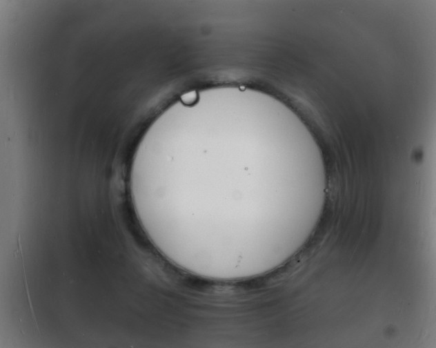 X0000102220264200807250752