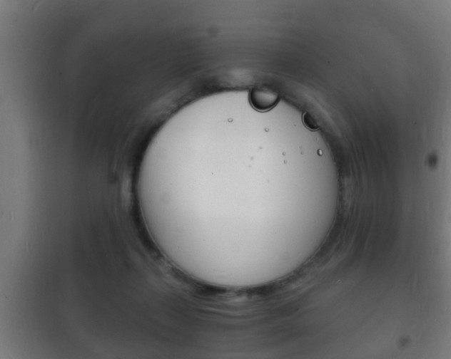 X0000102220267200807250752