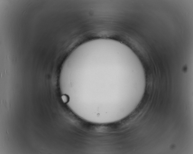 X0000102220268200807250752