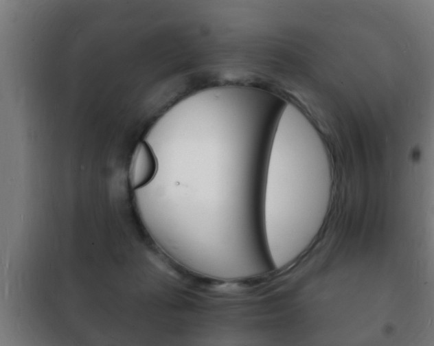 X0000102220269200807250753