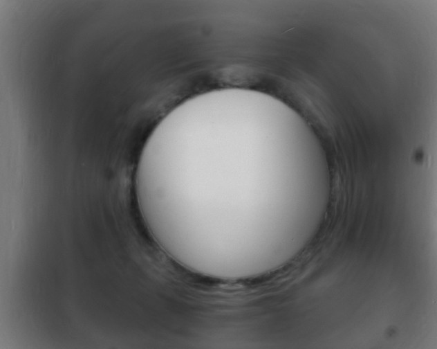 X0000102220271200807250753