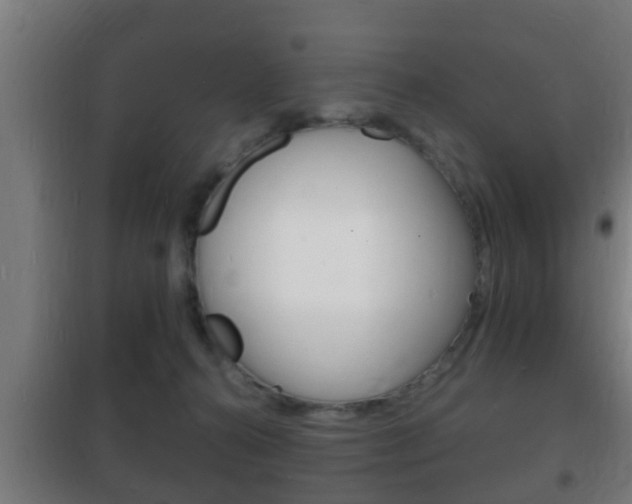 X0000102220272200807250753