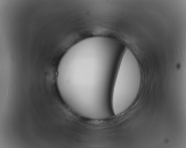 X0000102220273200807250753