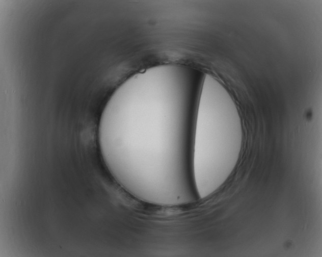 X0000102220274200807250753