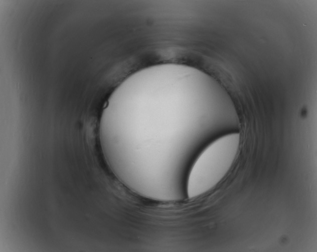 X0000102220275200807250753