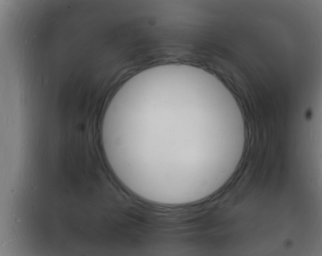 X0000102220276200807250753