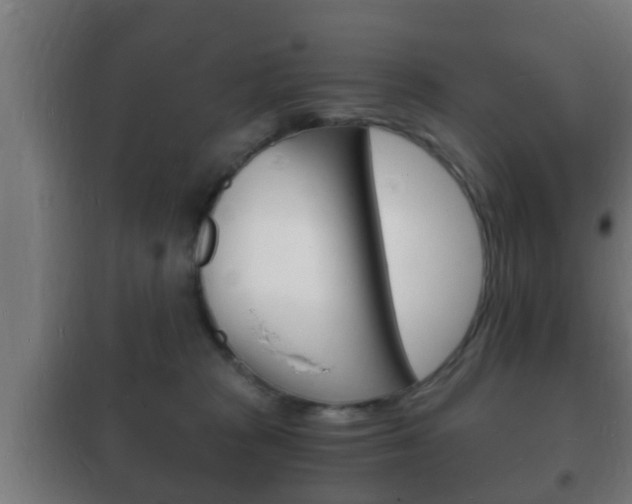 X0000102220277200807250753