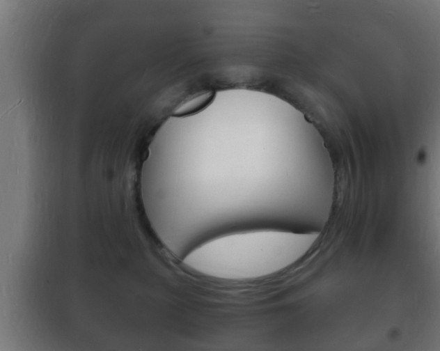 X0000102220279200807250753