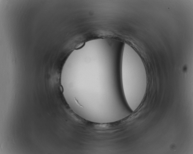 X0000102220281200807250753