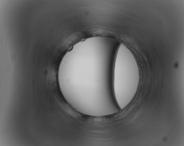 X0000102220282200807250753