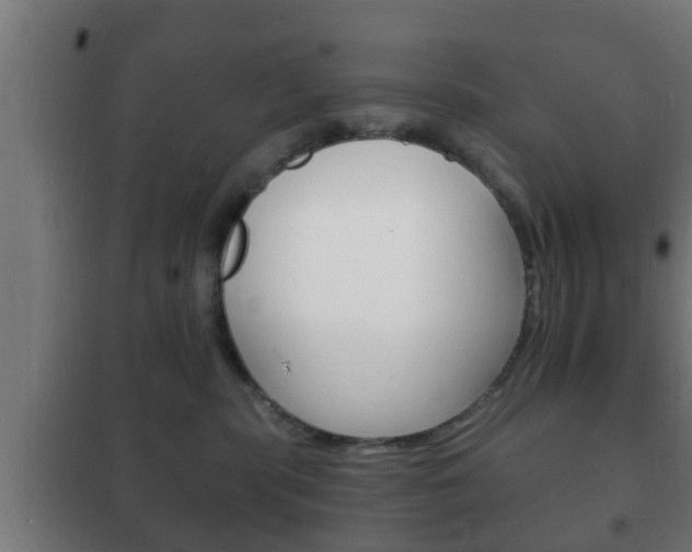 X0000102220283200807250753