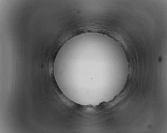 X0000102220285200807250753