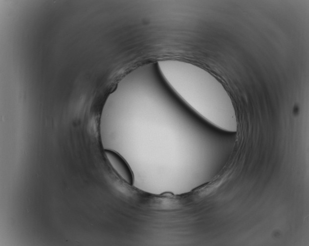 X0000102220286200807250753