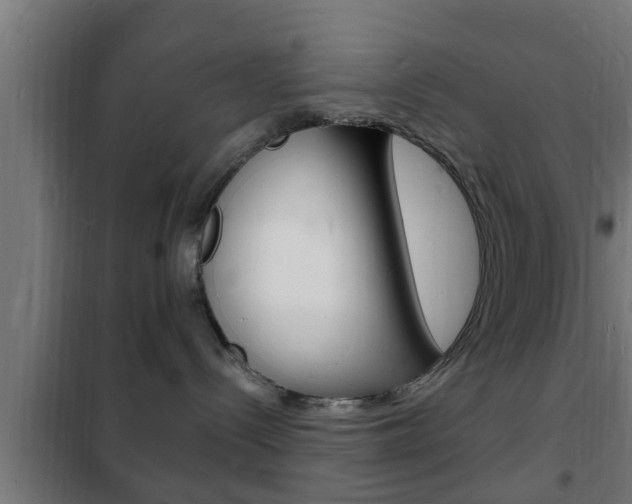 X0000102220288200807250753