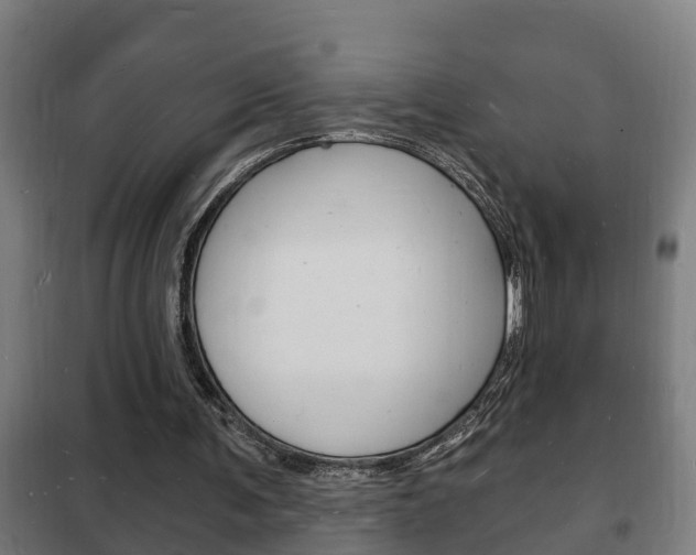 X0000102220291200807250752