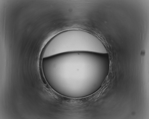 X0000102220292200807250752