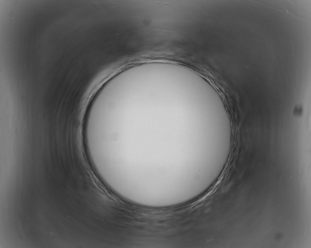 X0000102220293200807250752