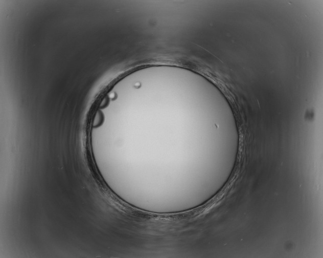 X0000102220294200807250752