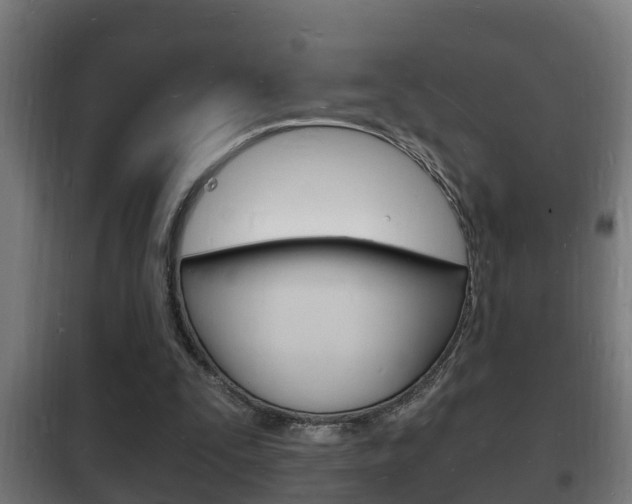 X0000102220295200807250752