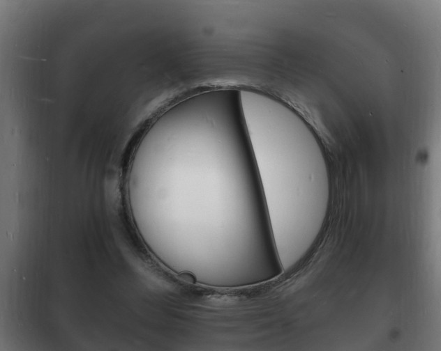 X0000102220300200807250752
