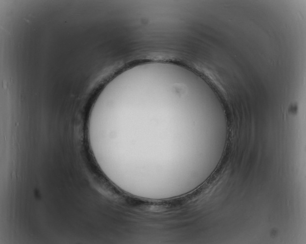 X0000102220303200807250752