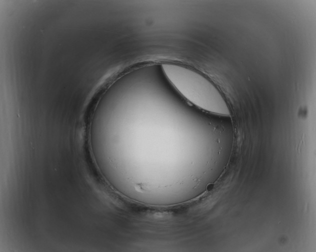 X0000102220304200807250752
