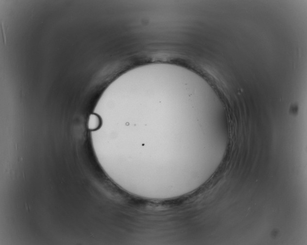 X0000102220311200807250752
