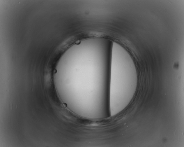 X0000102220312200807250752