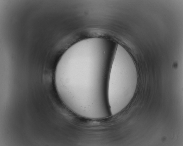 X0000102220315200807250752