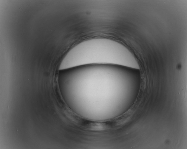 X0000102220316200807250752