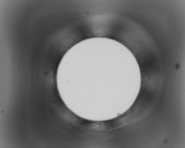 X0000102220317200807250752